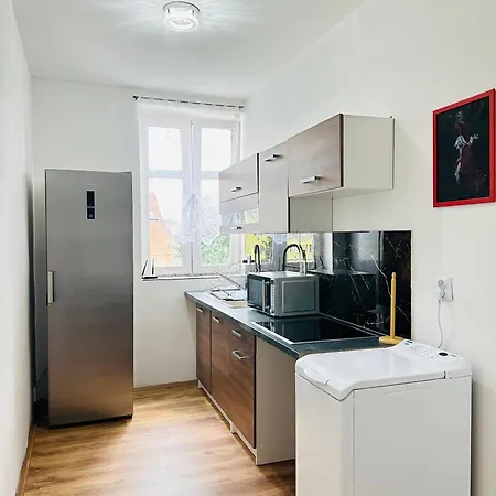 Apartment Kael Teplice